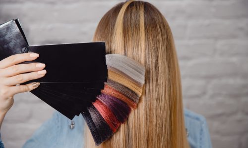 Master shows palette of hair colors on background of client's hair.